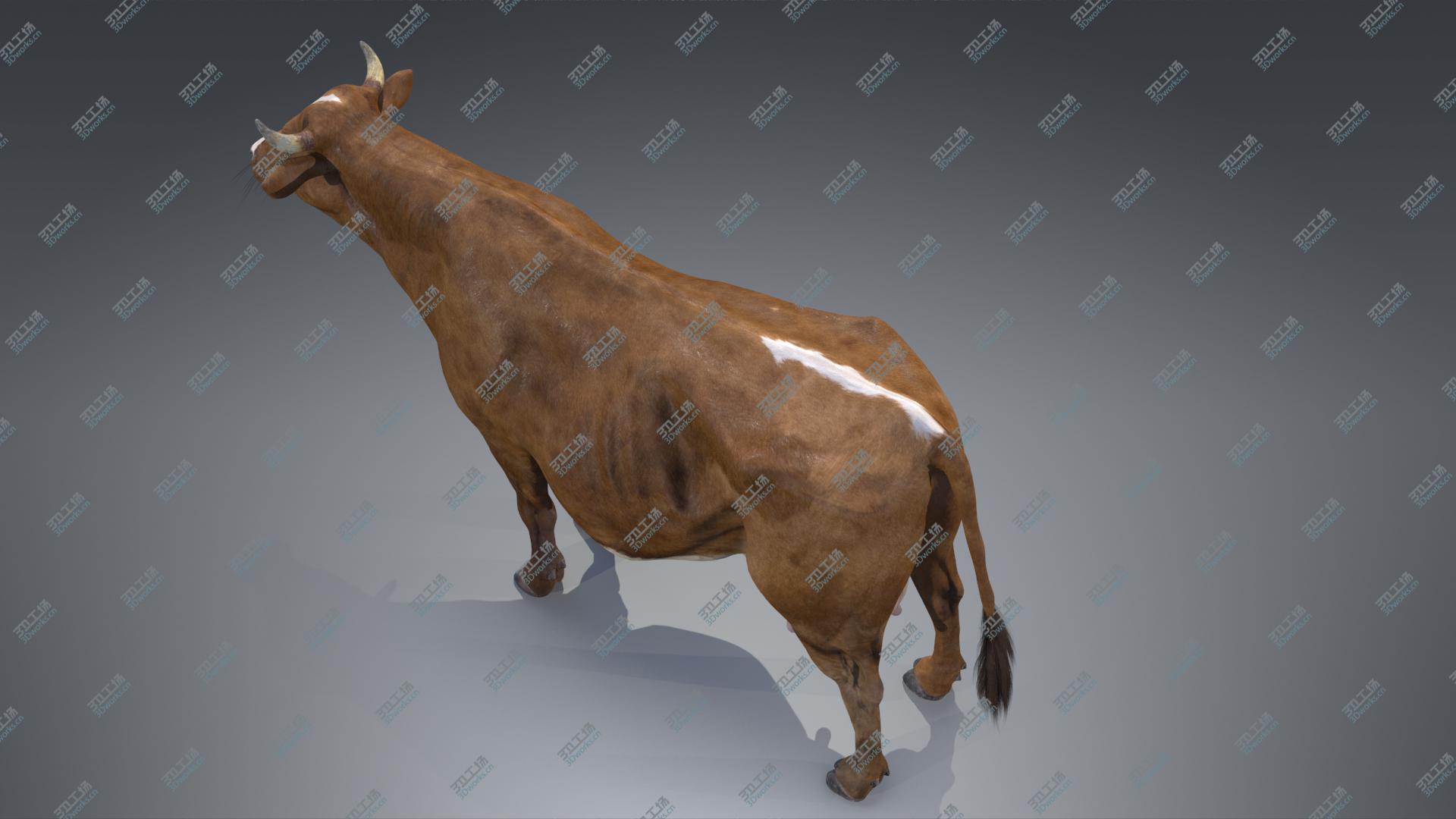 images/goods_img/202104093/3D Red Milch Cow PBR/5.jpg